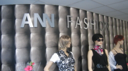Ann fashion freesletters