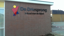 Driesprong freesletters
